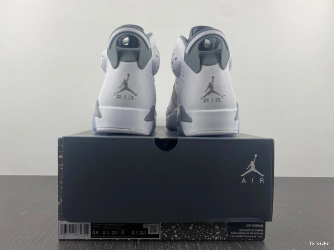 Reps TBK Air Jordan Grey CT8529-100 6 Cool 0706